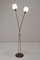 Mid-Century Floor Lamp by Kamenicky Senov, 1960s 2