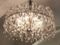 Large Austrian Crystal Chandelier 10