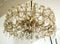 Large Austrian Crystal Chandelier 5