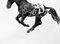 Hocus Pocus, Spotted Horse Flying, Kohlezeichnung, 2020 1