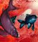 Leibniz Universe 15u, escena subacuática contemporánea y colorida, óleo sobre lienzo, 2016, Imagen 5