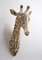Giraffe Wall Sculpture, Earth Stone, Porcelain and Black Stain, 2020 2
