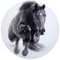 Eclipse, cavallo da tiro, carboncino, gesso e acrilico su tavola circolare, 2019, Immagine 2