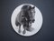 Eclipse, cavallo da tiro, carboncino, gesso e acrilico su tavola circolare, 2019, Immagine 1