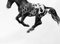 Foco Hocus Focus, Dynamic Realistic Horse, Carboncillo sobre Papel, 2019, Imagen 1