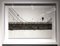 Ponte di Brooklyn, illustrazione di Guillaume Cornet, 2019, Immagine 3