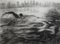 Piscina en la azotea, carbón realista dinámico sobre papel de nadador, agua y ciudad, 2020, Imagen 1