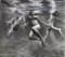 The Three Graces, Underwater Swimmers, Charcoal and Graphite on Fabriano Paper, 2018 1