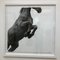 Puissance, Horse Drawing, Carboncillo y grafito sobre Fabriano Paper, 2016, Imagen 2