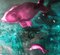 Leibniz Universe 10u, Contemporary and Colorful Underwater Scene, Oil on Canvas, 2016, Image 2