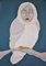 Fiona Morley, Ba Bird, Filo e olio su tela con cornice personalizzata, scultoreo, 2017, Immagine 1
