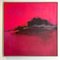 Peinture Burning Pink Landscape, Dynamic Contemporary, Bright Abstrait à l'Huile, 2016 2