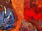 Desert Moon, abstracto y colorido, pintura al óleo sobre lienzo, fondo rojo cálido, 2012, Imagen 4