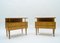 Mid-Century Modern Brass and Wood Nightstands, 1950s, Set of 2 2