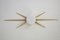 Sconces by Gio Ponti for Arredoluce, 2015, Set of 2, Image 4