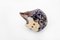 Vintage German Ceramic Hedgehog Sculpture by Elfriede Balzar-Kopp for Westerwald, 1950s, Image 3