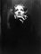 Impresión de pigmento Archival de Marlene Dietrich enmarcada en negro, Imagen 2