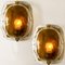 Hand Blown Brass and Brown Murano Glass Wall Lights by J.T. Kalmar, Set of 2 7