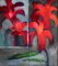 Sebastian Wywiorski, Red Lilies, 2002 1