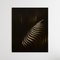Klaudia Lata, Reasonless II, 2017, Imagen 3