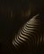 Klaudia Lata, Reasonless II, 2017, Imagen 1