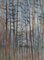 Maria Prokop, A Forest (Paysage Silencieux), 2001 1