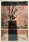 Just aa Tree, Fine Art Print, 20er Set 1