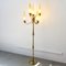 Vintage Italian Floor Lamp by Angelo Lelli for Arredoluce, 1950s, Image 3