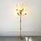 Vintage Italian Floor Lamp by Angelo Lelli for Arredoluce, 1950s, Image 2