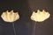Shell-Shaped Sconces in Gold Murano Glass by Barovier & Toso for Mazzega, Set of 2 1