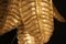 Lange Goldene Wandleuchten aus Muranoglas in Palmenform von Barovier & Toso, 2er Set 6