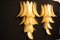 Longues Appliques Dorées en Verre Murano Forme Palmier de Barovier & Toso, Set de 2 5