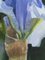 Spetchley Blue Iris, Still Life Oil, Immagine 2