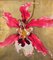 Orchidea, pittura figurativa contemporanea, 2019, Immagine 1