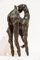 Backward Glance, Contemporary Bronze Goat, Image 4