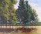 Borde de los árboles, paisaje inglés contemporáneo, enmarcado en óleo sobre lienzo, 2018, Imagen 1