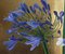 Agapanthus on Gold, Contemporary Mixed Media Floral Painting, 2020 2