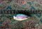 Ewa Pello, Carpa, 2010, Imagen 1