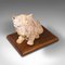 Antique British Edwardian Decorative West Highland Terrier, 1910s 7