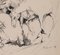 Domenico Purificato, Horses, Original Drawing, 1952 2