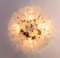 Hibiscus Brass Flush Mount Chandelier with Glass Flowers, Italy, 1970s 3