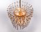 Lámpara de araña Palwa Tendril Ribbon de cristal y latón dorado, años 60, Imagen 5