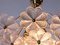 German Floral Chandelier in Glass & Brass by Ernst Palme, 1960s, Image 2