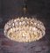Large Chandelier in Crystal & Brass from Lobmeyr / Bakalowits & Sons 2