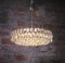 Lampadario grande in cristallo ed ottone di Lobmeyr / Bakalowits & Sons, Immagine 3