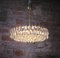 Large Chandelier in Crystal & Brass from Lobmeyr / Bakalowits & Sons 3