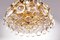 Bubble Ceiling Light in Crystal & Gilt Brass from Palwa, 1960s, Germany 2