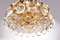 Lampada da soffitto Palwa in cristallo e ottone dorato, Germania, anni '60, Immagine 2
