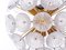 Modernist 10-Light Dandelion Sputnik Pendant in Glass & Brass, 1960s 2