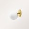 Anemoi Wall Light by Nicolas Brevers for Gobolights 1